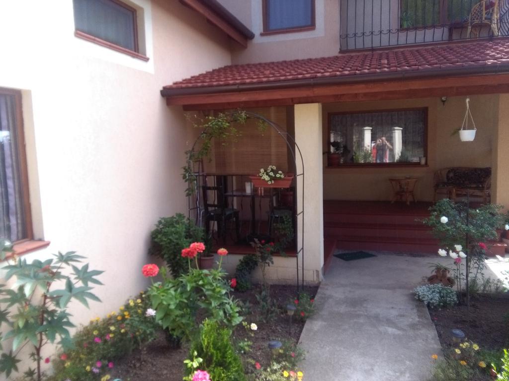 Casa Doina Apartment Baile Felix Bagian luar foto
