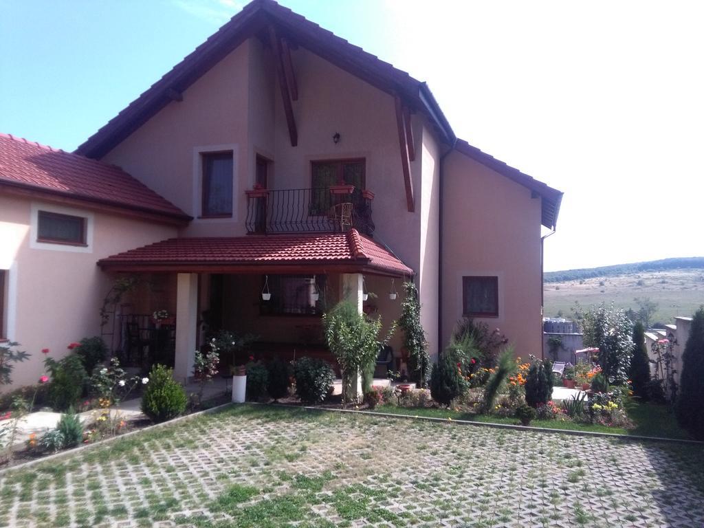 Casa Doina Apartment Baile Felix Bagian luar foto