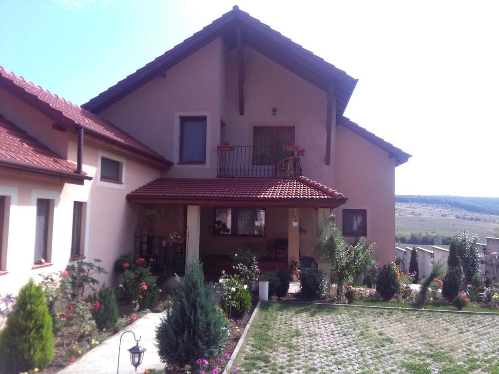 Casa Doina Apartment Baile Felix Bagian luar foto