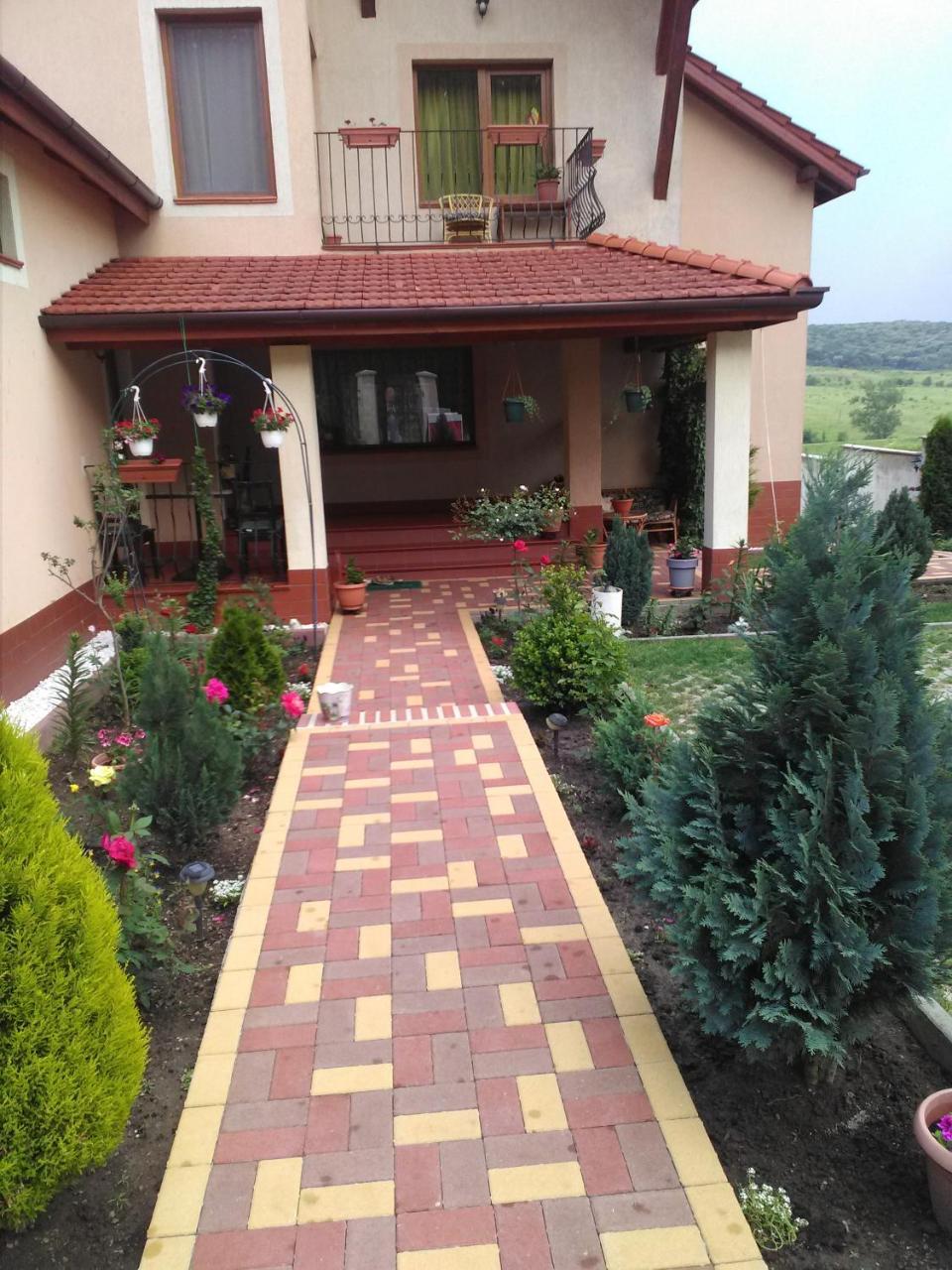 Casa Doina Apartment Baile Felix Bagian luar foto